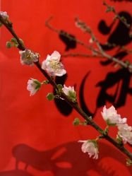 点击看大图 -Y+U遇瑜伽·普拉提