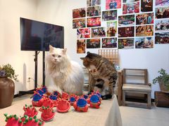 -创艺无限·赵春香微妙艺术馆