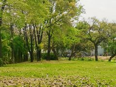 -广东花都香草世界旅游度假区