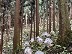 -太阳湾风景区