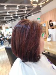 -曼都发型·臻选