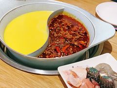 -青瓷火锅料理(西单大悦城店)