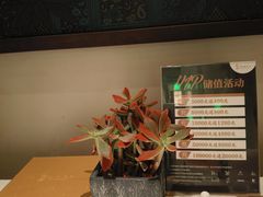 -金链花·泰国餐厅(国贸店)