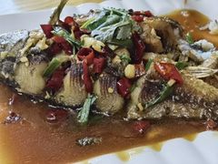 -农夫人家餐饮
