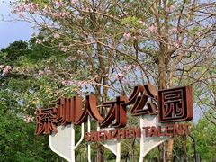 -深圳人才公园