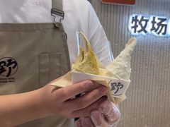 -野人先生现做冰淇淋(西安赛格店)