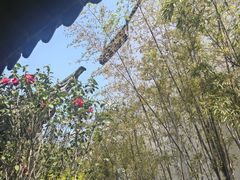 -南京市民俗博物馆(甘熙故居)