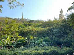 -西双版纳勐泐文化旅游区