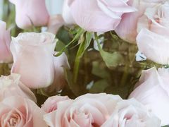 -ROSEONLY诺誓(国际广场购物中心店)