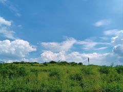 -光明小镇欢乐田园