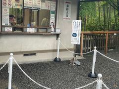 -天龙寺