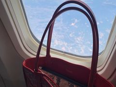 -GOYARD(恒隆广场店)