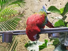 -杭州开元森泊度假乐园