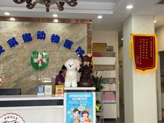 -安琪娜动物医院•健康管理•骨科•急重症诊疗中心