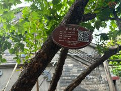 -康百万庄园