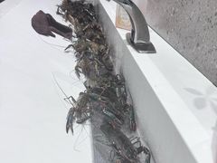 -虾胡闹龙虾馆(湄南河店)