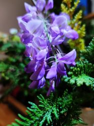 -今日陶艺(富力广场店)