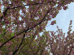 -苏州河梦清园环保主题公园