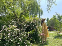 -白鹭湾湿地公园