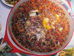 -蜀龙阁· 龍头水煮鱼(天坛店)
