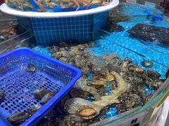 -皮记海鲜1995(寮步店)
