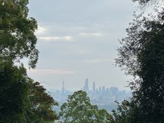 -火炉山森林公园