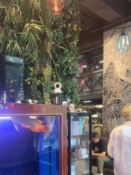 点击看大图 -T.1 hair salon烫染接发