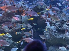 -成都浩海立方海洋公园