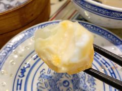 炸牛奶-捷信牛奶甜品世家(五道口店)