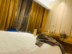 -徐州博顿温德姆酒店(高铁东站店)