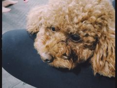 -FIGHTMAN格斗俱乐部(长宁临空店)