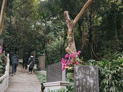 -广州市白云山风景名胜区