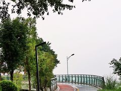 -大渡口区义渡公园