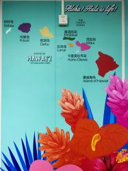 -呼拉汇舞蹈生活馆 Hawaii Hula&Tahiti Dance Studio