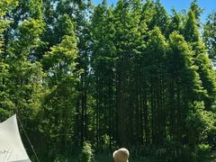 -桤木河湿地公园