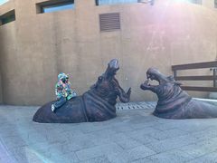 -大连森林动物园