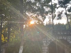 -花溪公园