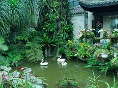 -东莞植物园