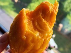 -大班家政月嫂育儿嫂(总部店)