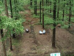 -黄海国家森林公园