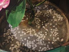 -农耕记·湖南土菜(海上世界店)