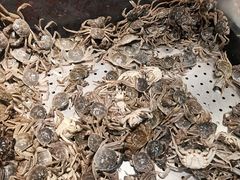 -全盛自助烤肉(大商新玛特鞍山店)