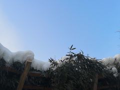 -静之湖湖畔餐厅