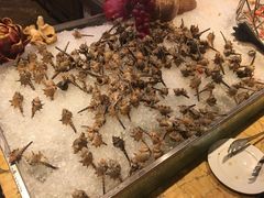 -浙江三立开元名都大酒店