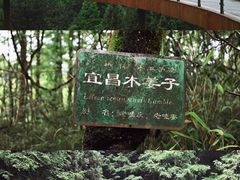 -山王坪喀斯特国家生态公园