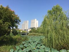 -尚贤河湿地