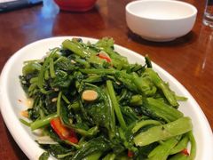 -荷花泰菜(东方新天地店)
