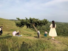 -恋山坝上草原