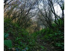 -萍乡武功山风景名胜区