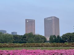 -无锡新湖铂尔曼大酒店